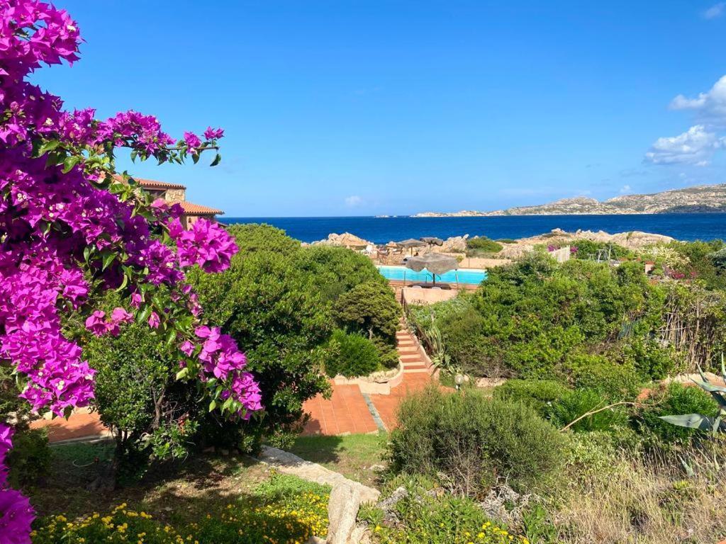 Villa Casa Mughetto R5055 Seafront, Private Sea Access, Swimming Pool La Maddalena  Exterior foto
